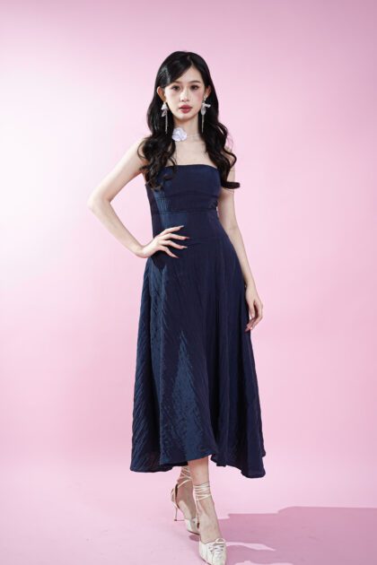 Blush Long Dress in Navy